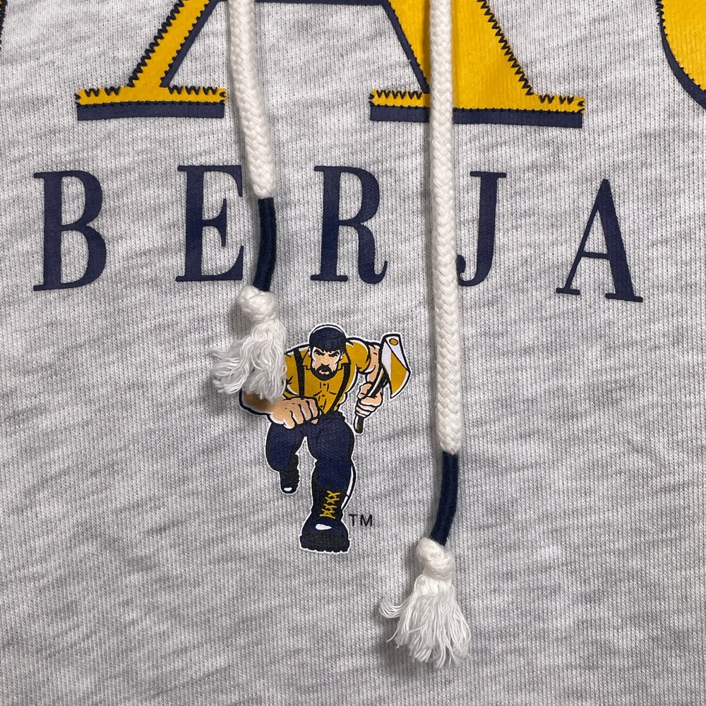 Northern Arizona Lumberjacks NCAA Gray Hoodie Sweatshirt Women's XL NWT - Picture 5 of 12